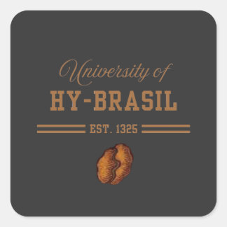 University of Hy-Brasil, Est. 1325 Vierkante Sticker
