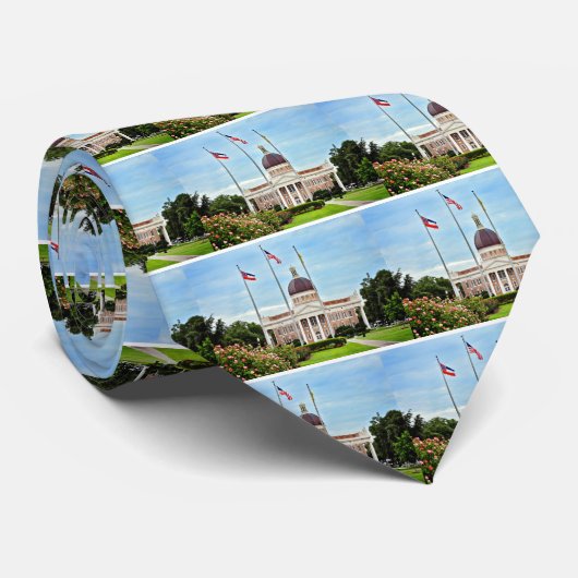 University of Southern Mississippi Stropdas (Opgerold)