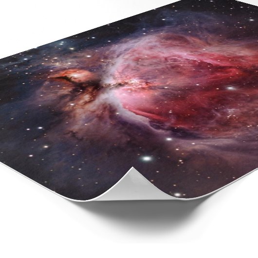 universum poster (Hoek)