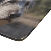 Unmpressed Majesty: The Wolfhounds Stoic Gaze (De Snijplank (Hoek)