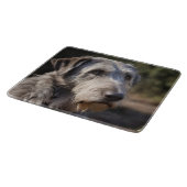 Unmpressed Majesty: The Wolfhounds Stoic Gaze (De Snijplank (Hoek)