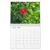 Unseen Bali 2019 fotokalender Kalender (Jan 2027)