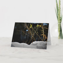 "Unseen Minnesnowta" kerstKaart