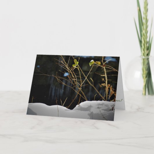 "Unseen Minnesnowta" kerstKaart Kaart (Voorkant)