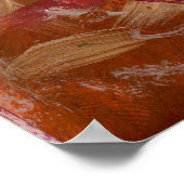 Unshrunken-Head (remix) Poster (Hoek)