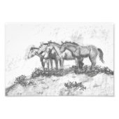 Untamed Foto Afdruk (Voorkant)