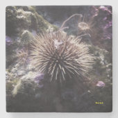 Untersetzer Stenen Onderzetter (Voorkant)