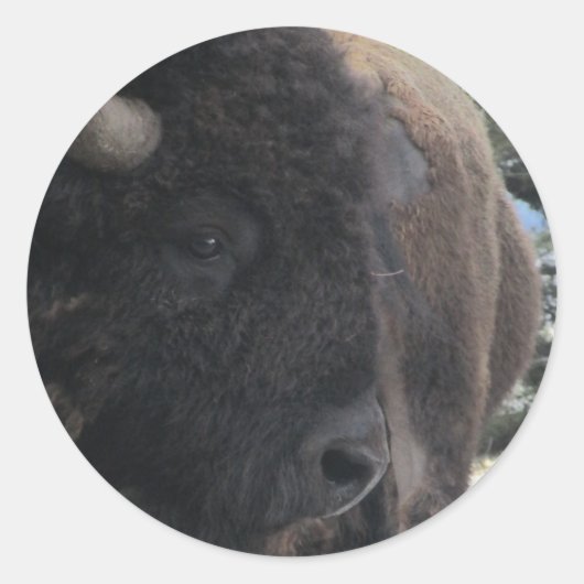 Up Close and Personal Ronde Sticker (Voorkant)