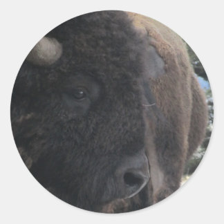 Up Close and Personal Ronde Sticker