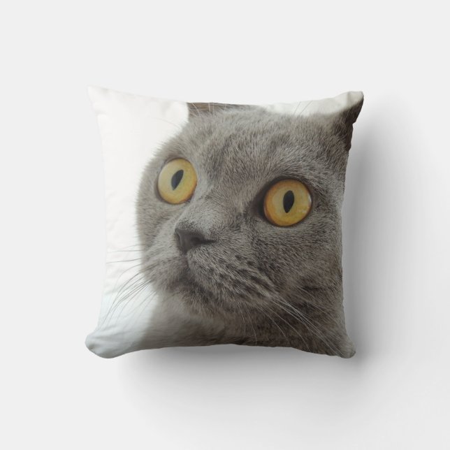 Up-Close British Shorthair Cat Throw Cushion Kussen (Voorkant)