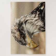 Up Close Eagle Photo