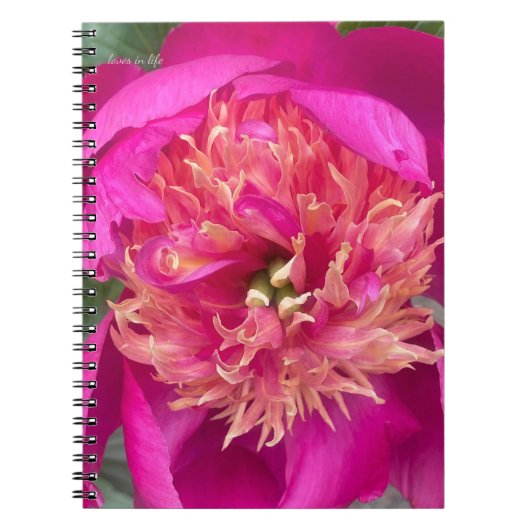 Up-close Hot Pink Peony Notitieboek (Voorkant)
