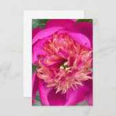 Up-close Hot Pink Peony Notitiekaartje (Voorkant / Achterkant)
