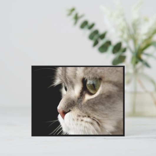 Up-Close Kat Post Card Briefkaart (Staand voorkant)