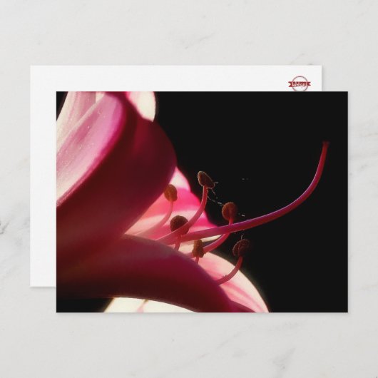 Up Close & Personal Briefkaart (Voorkant / Achterkant)