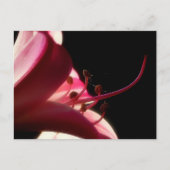 Up Close & Personal Briefkaart (Voorkant)