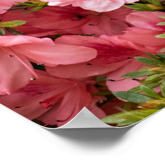 Up Close Poster (Hoek)