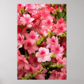 Up Close Poster (Voorkant)