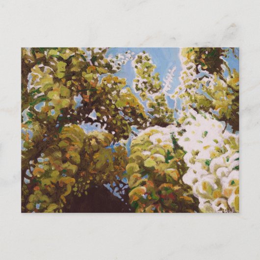 Up into wisteria 2011 briefkaart (Voorkant)