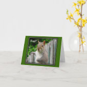 Up? Kaart (Gele Bloem)