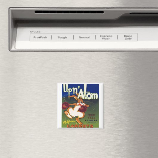 Up n' Atom California Carrots Magneet (Insitu (Vaatwasser))