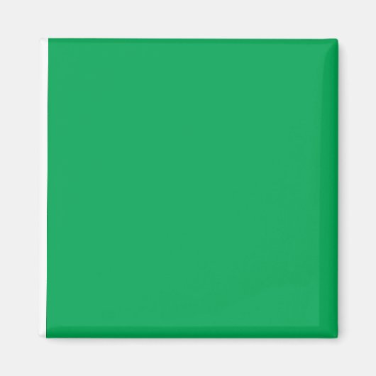 Upgrade uw webontwerp met een groene achtergrond magneet (Voorkant)