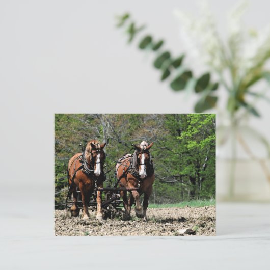 Uphill Briefkaart (Staand voorkant)