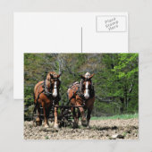 Uphill Briefkaart (Voorkant / Achterkant)