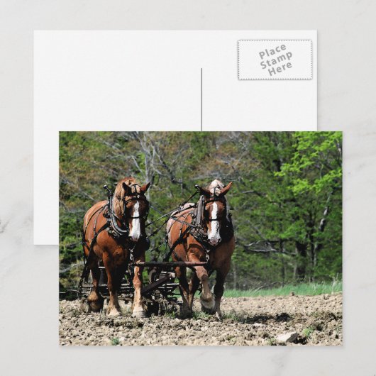 Uphill Briefkaart (Voorkant / Achterkant)