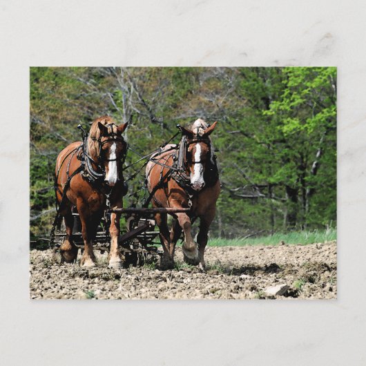 Uphill Briefkaart (Voorkant)