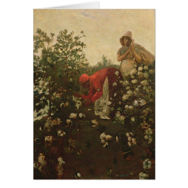 Upland Cotton (Voorkant)
