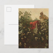 Upland Cotton Briefkaart (Voorkant / Achterkant)