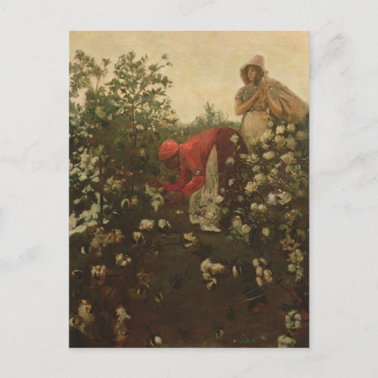 Upland Cotton Briefkaart (Voorkant)