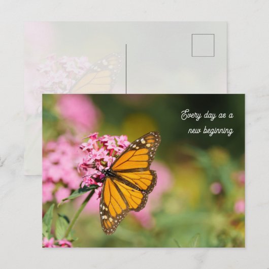 Uplifting and Inspiratational monarch Butterfly  Briefkaart (Voorkant / Achterkant)