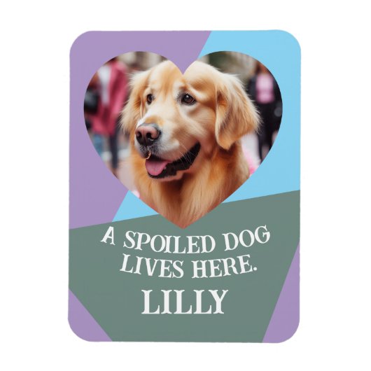 Upload Aangepaste Hart Pet Foto & Naam Gift Keepsa Magneet (Verticaal)