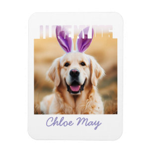 Upload aangepaste Pet Photo Naam Ik hou van mijn h Magneet