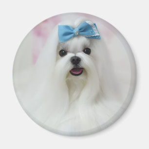 Upload foto van huisdier Cute Adorable Hond Magneet