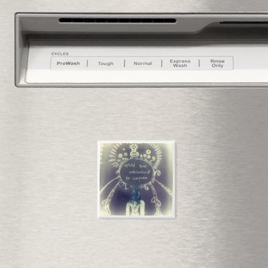 Upload je bewustzijn naar de computer magneet (Insitu (Vaatwasser))