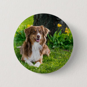 Upload uw favoriete foto van uw huisdier ronde button 5,7 cm
