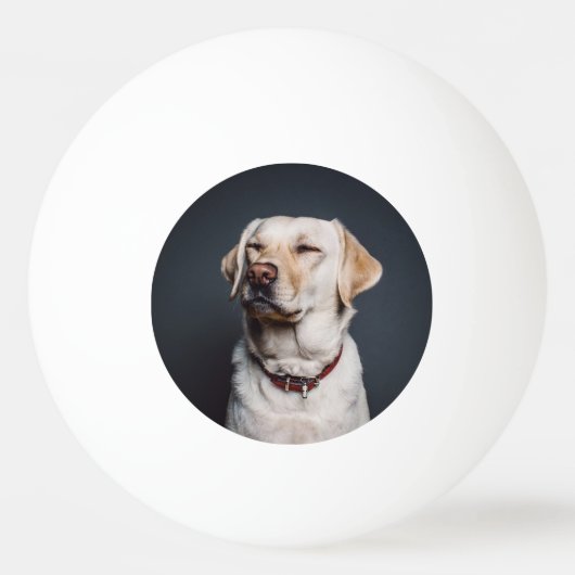 Upload uw foto pingpongbal (Voorkant)