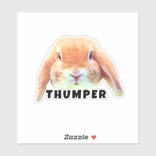 Upload uw pagina Bunny Face en Name Persoonlijk Sticker (Vel)