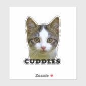 Upload uw persoonlijke foto en naam persoonlijke S Sticker (Vel)