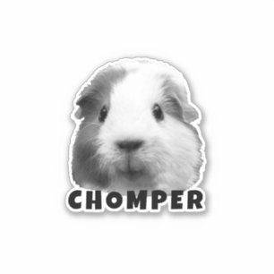 Upload uw persoonlijke foto en naam van Pet Guinee Sticker