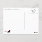 Upper Mesa Falls Briefkaart (Achterkant)