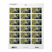 Upper Mesa Falls Etiket (Full Sheet)