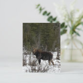 Upper Peninsula Moose wildernis surfen Wildlife Feestdagenkaart (Staand voorkant)