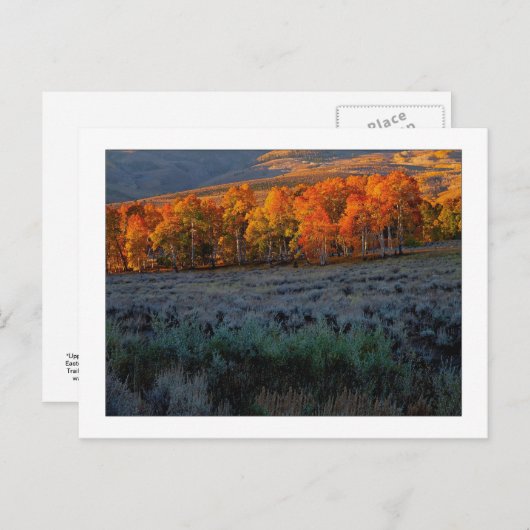 "Upper Summer Meadow" Briefkaart (Voorkant / Achterkant)