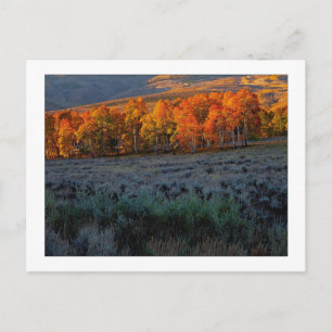 "Upper Summer Meadow" Briefkaart