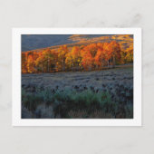 "Upper Summer Meadow" Briefkaart (Voorkant)