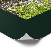 Upper Tahquamenon Herfsten State Park, MI Poster (Hoek)